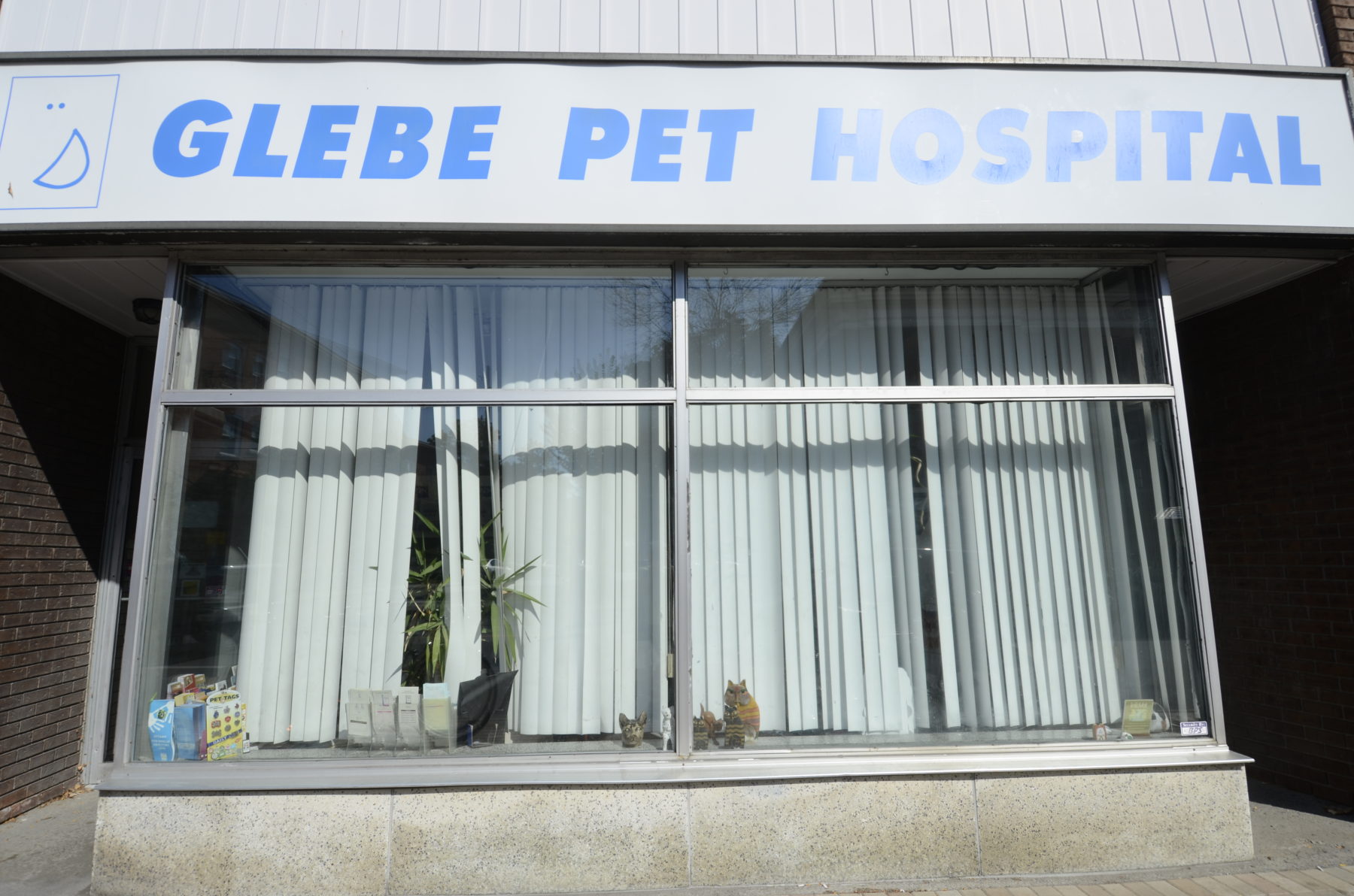 https://intheglebe.ca/wp-content/uploads/2024/01/Glebe-Pet-Hospital1-1.jpg