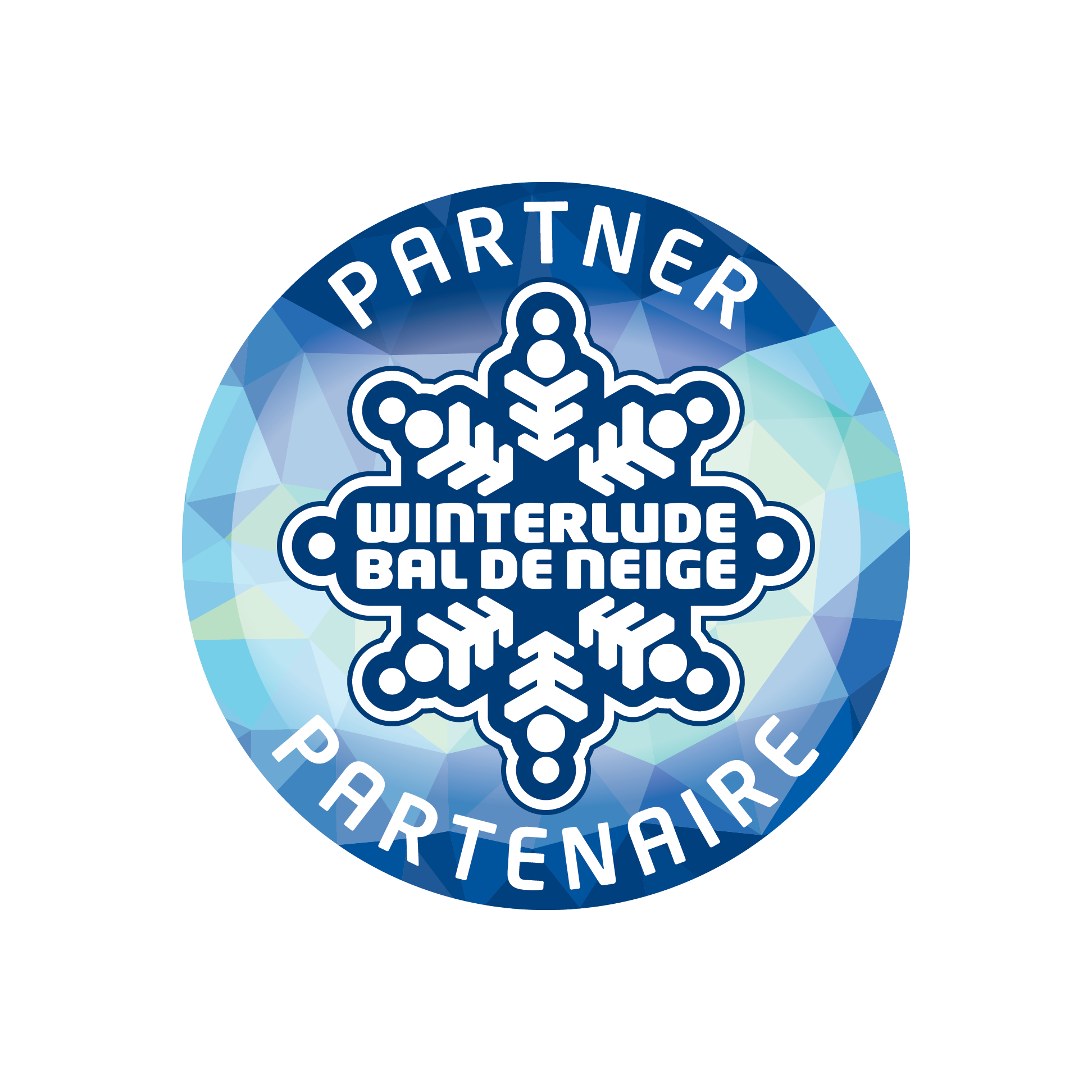 Blue circular logo with a snowflake