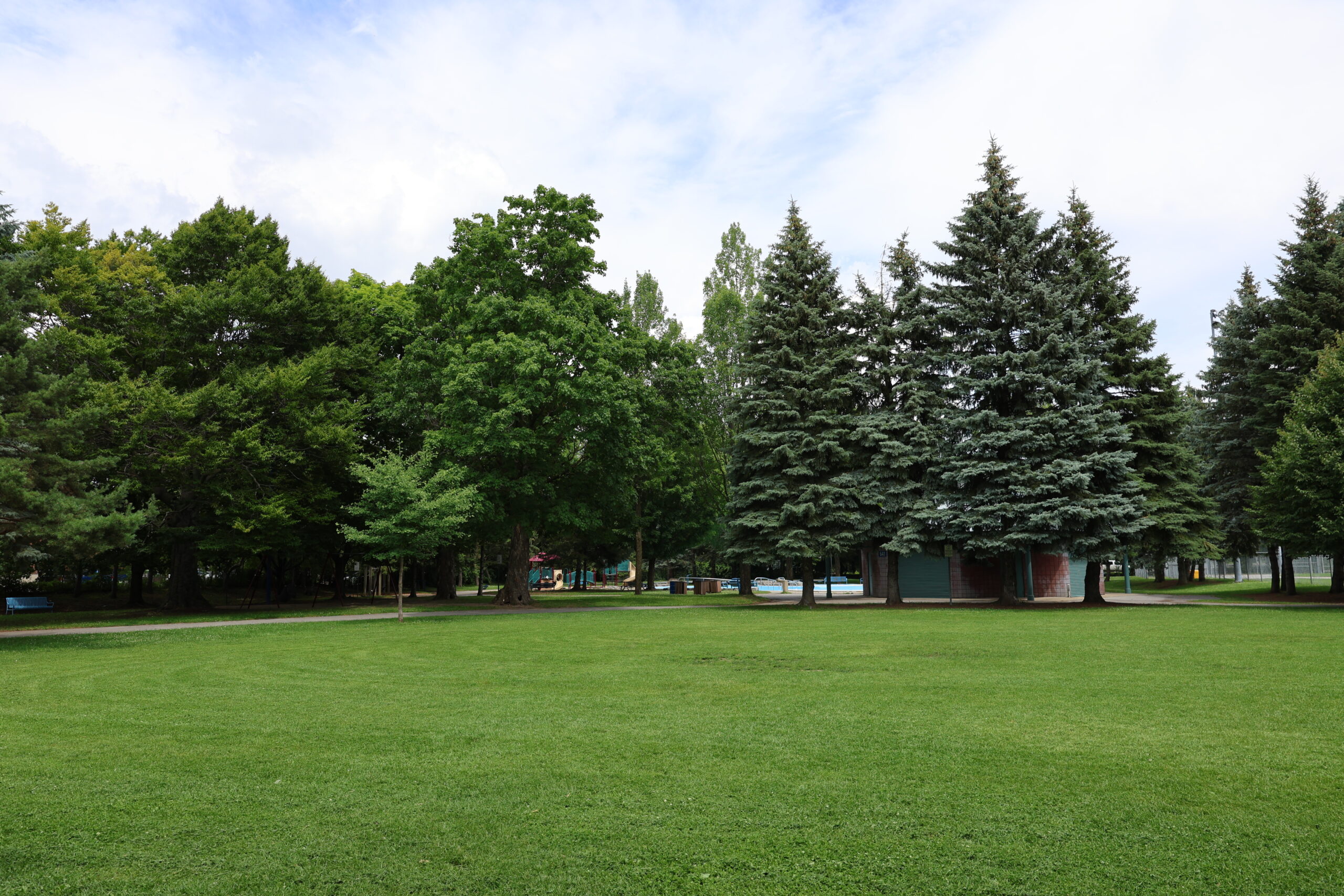 https://intheglebe.ca/wp-content/uploads/2024/07/Sylvia-Holden-Park-scaled.jpg